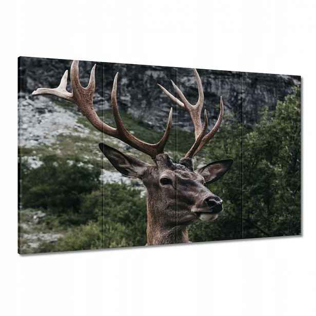Obrazy 120x80 Jelen Jelení paroháč
