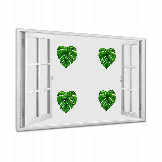 Obrazy 90x60 Monstera děravé listy