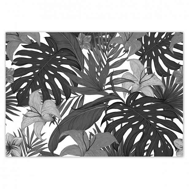 Fototapety 208x146 Černobílá monstera