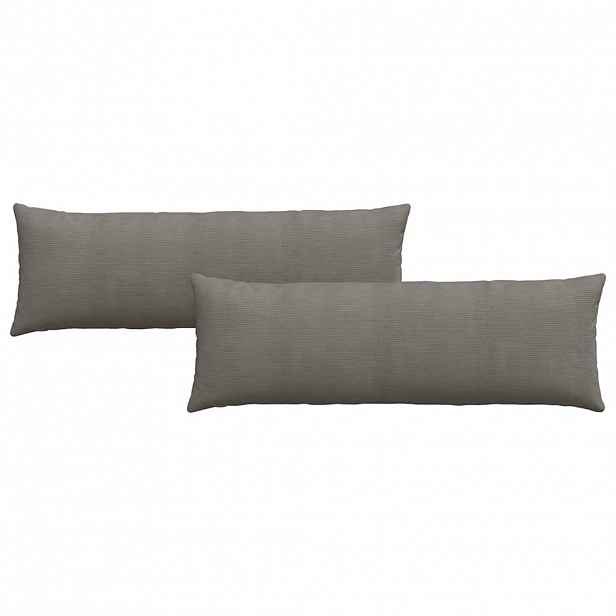 vidaXL Pohovkové polštáře 2 pcs Světle šedá 120 x 40 cm