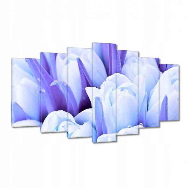 Obrazy 140x80 Modré tulipány