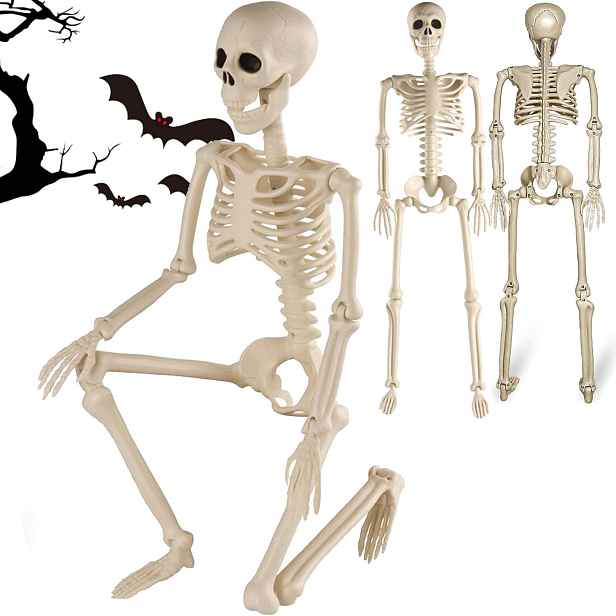 Lidská kostra Pohyblivá dekorace na Halloween 90 cm do zahrady a domu Bedee