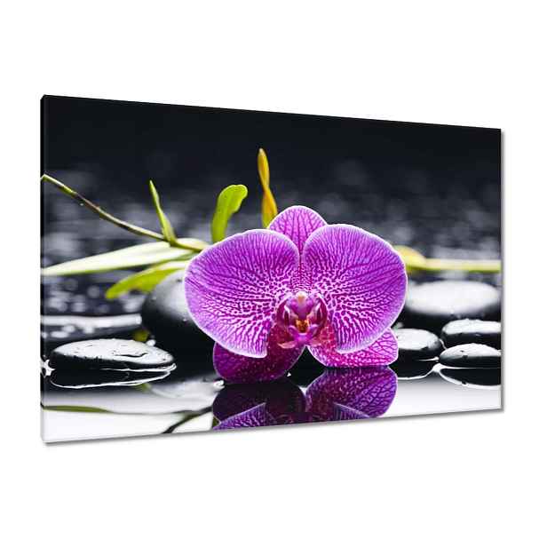 Obrazy 120x80 Fialová orchidej
