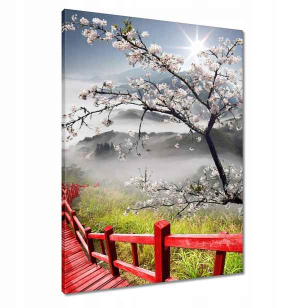 Obrazy 60x80 Červený most v Japonsku