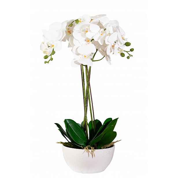Umělá Orchidej Velká XXL Realistická Silikonová Bílá Dekorace Ozdoba
