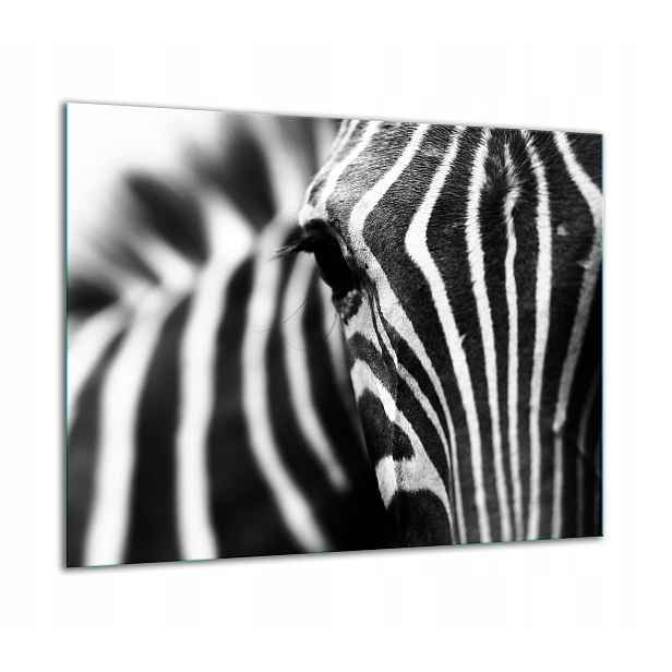 7v1 Skleněná Ochranná Deska Na Sporák 60x52 Zebra