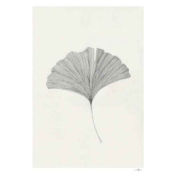 Plakát 50x70 cm Ginkgo Leaf – Ana Frois – The Poster Club