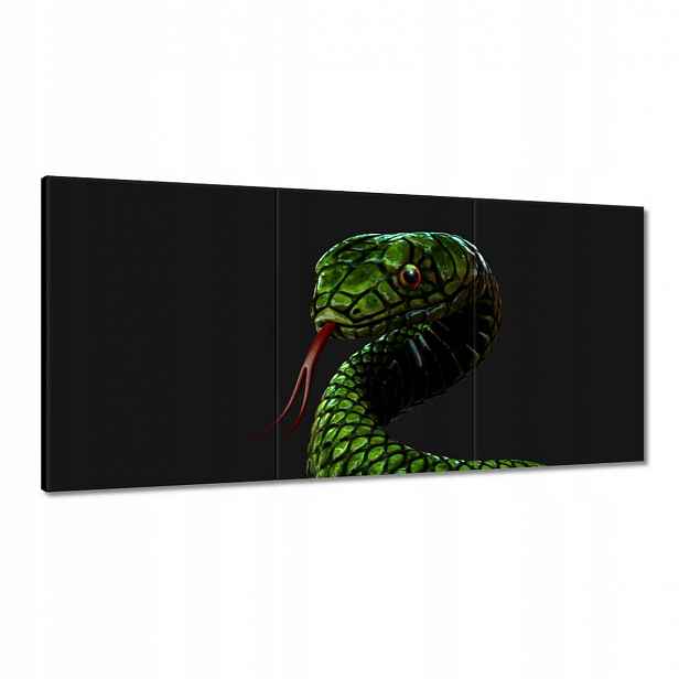 Obrazy 180x90 Obrovský zelený had