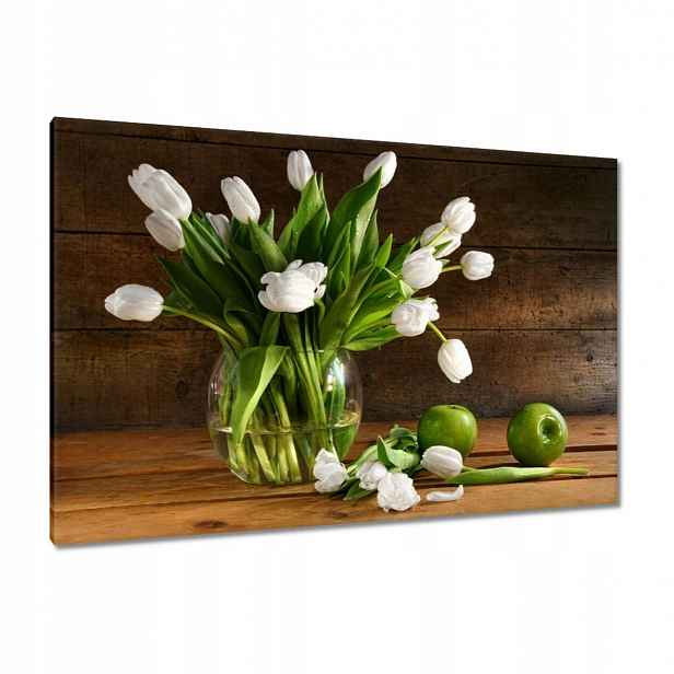 Obrazy 120x80 Bílé tulipány