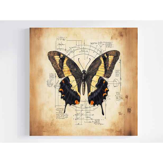 Obraz Na Plátně Canvas Grafika Styl Da Vinci Motýl Papyrus Kresba 50x50