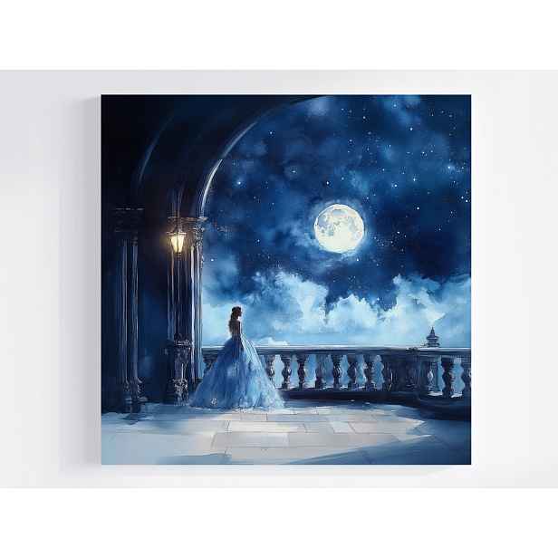 Obraz Na Plátně Canvas Noc Měsíc Zámek Palác Ples Princezna Pohádka 50x50