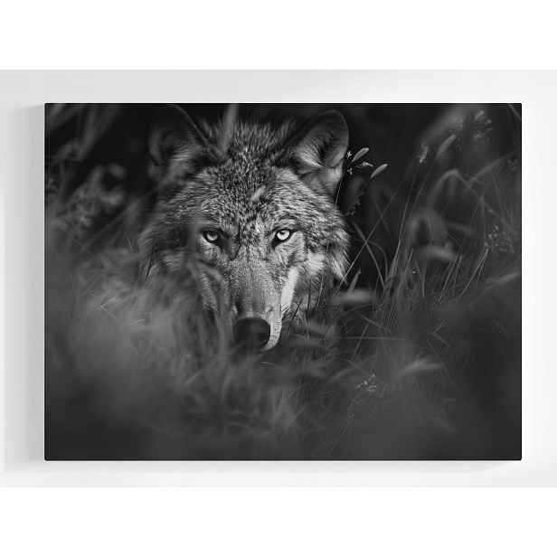 Obraz Na Plátně Canvas Fauna Příroda Šedý Vlk Portrét 80x60