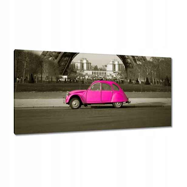 Obrazy 115x55 Růžový Citroen v Paříži