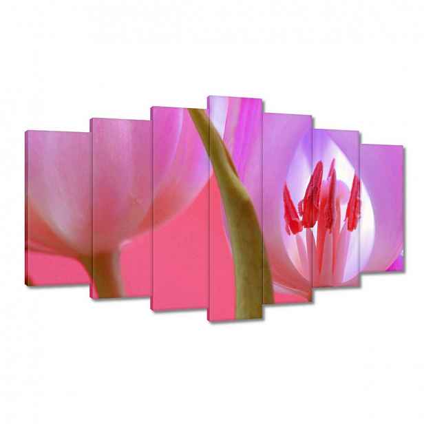 Obrazy 140x80 Růžový tulipán