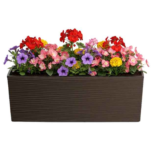 HowHomely Plastový květináč Bouquet Riflo 56x19 cm mokka