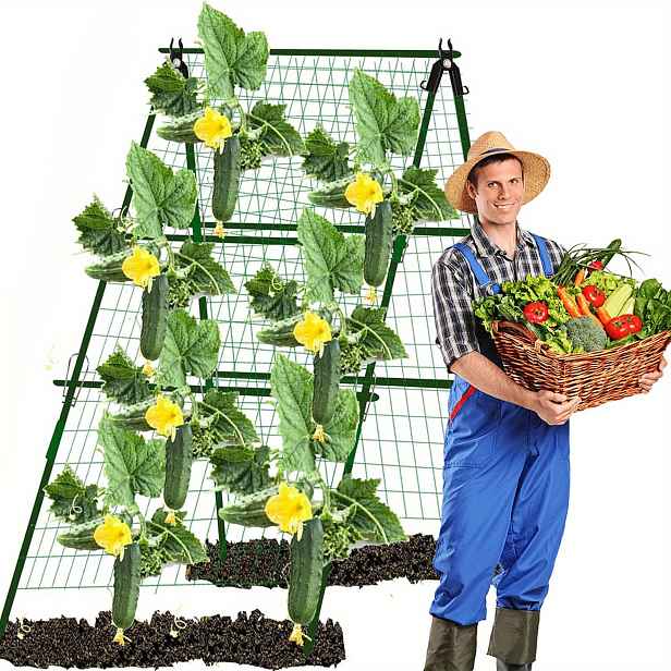 TEMU Zelený Popínavý Stojan 120x40cm - Odolný Plastový Rám pro Popínavé Rostliny, Zeleninu a Květiny, Ideální Podpora do Zahrady