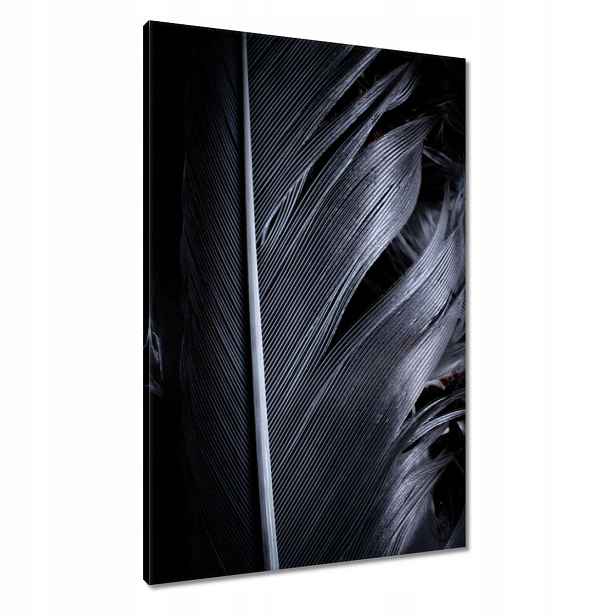 Obrazy 60x90 Černé pero v přiblížení
