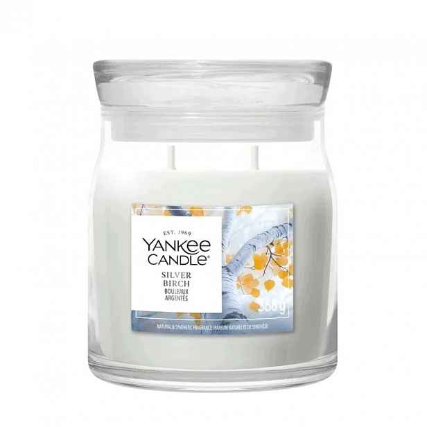 Střední svíčka Signature Silver Birch Yankee Candle