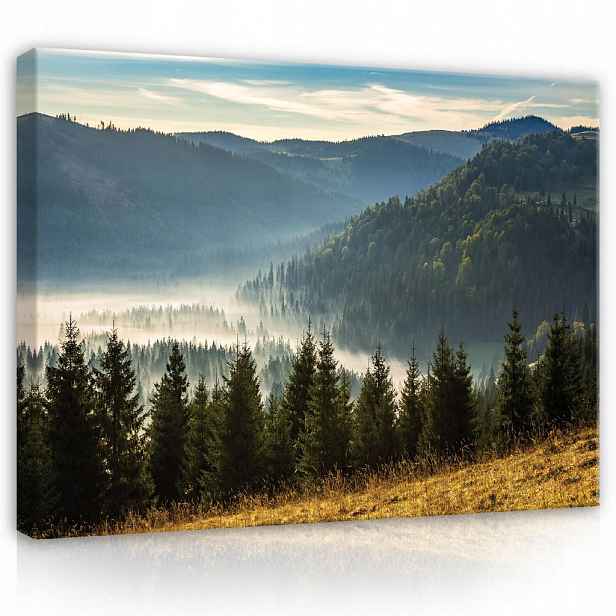 Wallarena PLÁTNO Příroda Hory Krajina 60x40