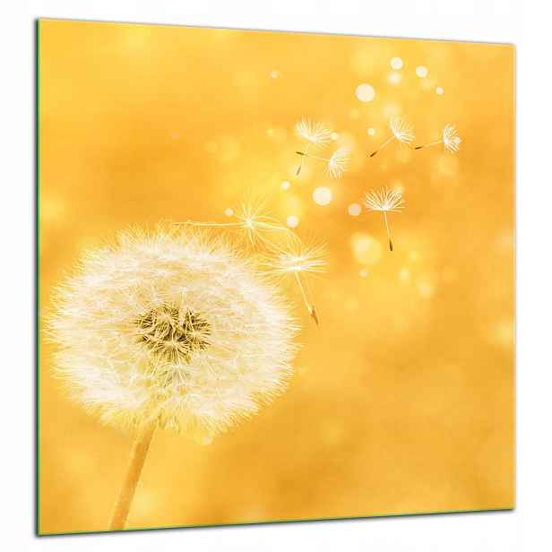 Skleněná Ochranná Deska Panel Lepidlo 60x65 Květina