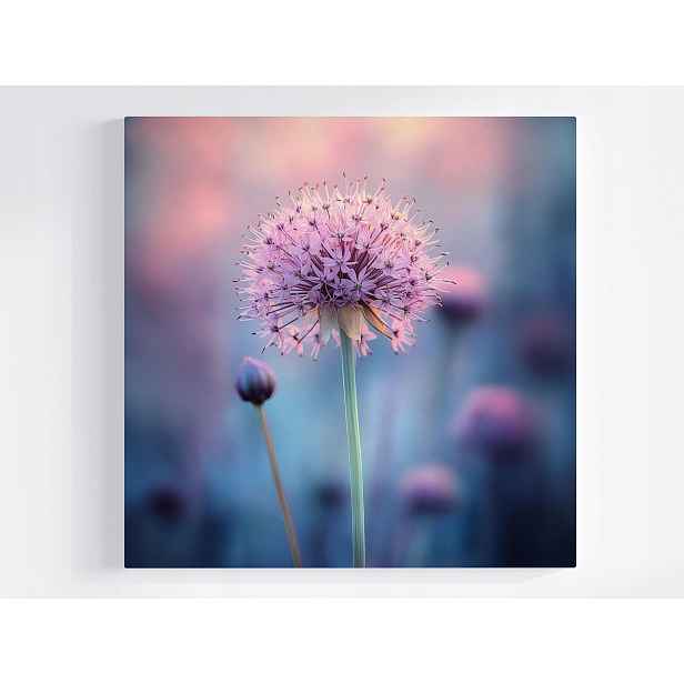 Obraz Na Plátně Canvas Růžový Květ Okrasný Česnek Makro Pastelový 50x50