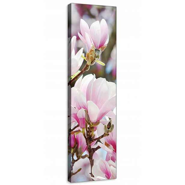 Obraz Na Plátně Plátno 45x145 Květy Magnolie Strom Keř Příroda Natura