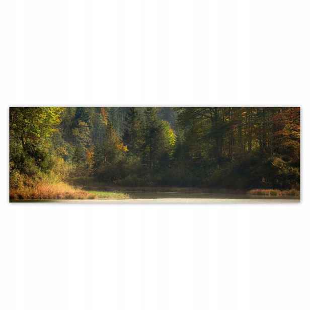 Plakáty 200x66 Lesní krajina Pohled