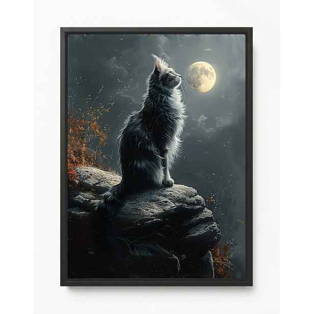 Obraz Rám Americká Krabička Noc Temnota Nebe Měsíc Šedá Kočka Kocur 60x80