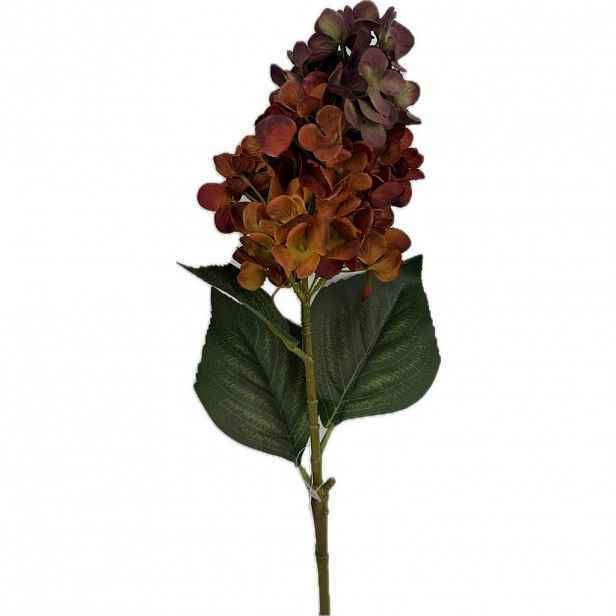 HORTENZIE 72 cm