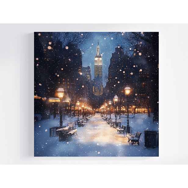 Obraz Na Plátně Canvas Město Večer Zima Sníh Park New York 50x50