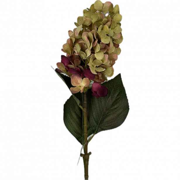 HORTENZIE 72 cm