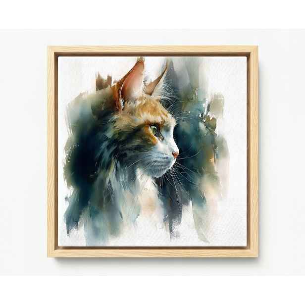 Obraz Rám Americký Box Akvarel Portrét Zvíře Rudý Bílý Kocour 50x50