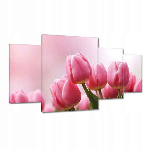 Obrazy 160x90 Růžové tulipány