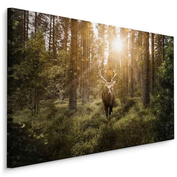 Plátno Jelen A Sluneční Paprsky Varianta: 40x30