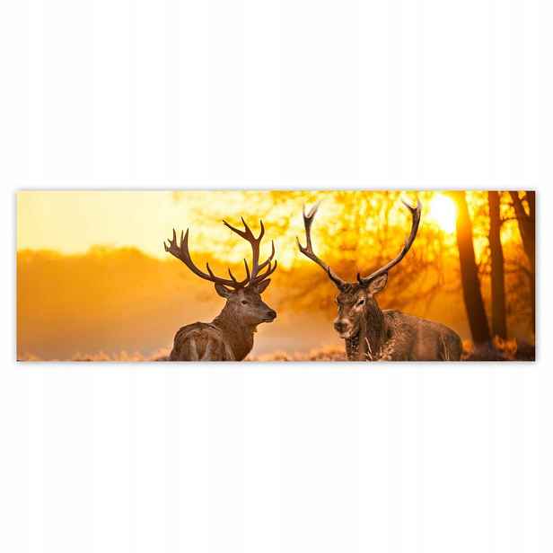 Plakáty 200x66 Jeleni po ránu