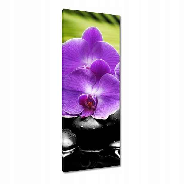 Obrazy 40x100 Fialové orchideje