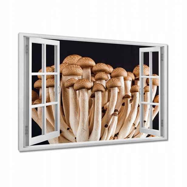 Obrazy 120x80 Houby v lese Zblízka