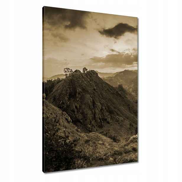 Obrazy 60x90 Hnědá krajina Krajina