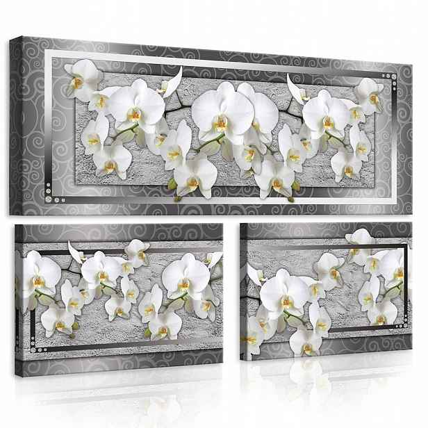 Obraz Orchidej Triptych 3 Částečné Květiny Abstrakce Na Plátně 80x55