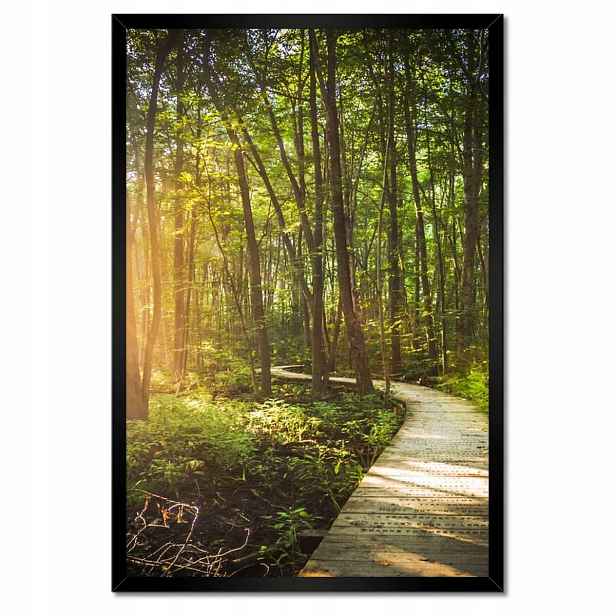 Plakáty v rámu 40x60 Sluníčko na procházce