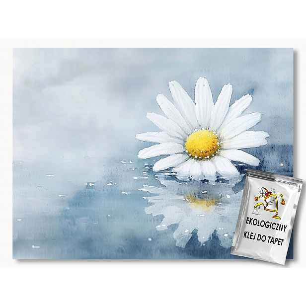 Fototapeta Flizelina Grafika Bílý Květ Sedmikráska Odraz 254x184 130g