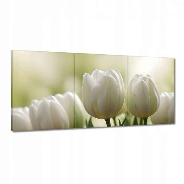 Obrazy 210x100 Bílé tulipány