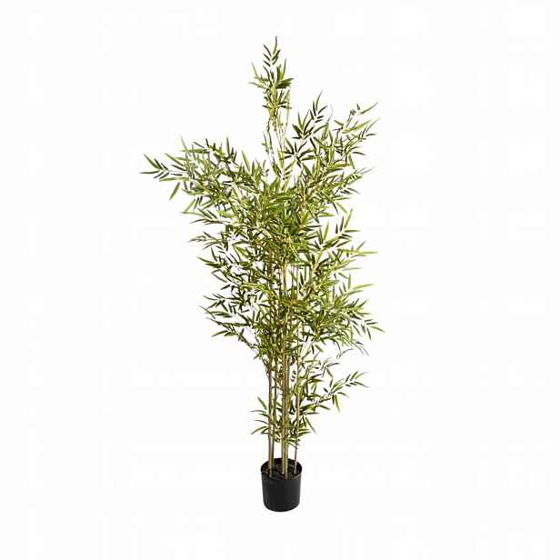 Umělá bambusová rostlina umělý bambusový strom Greenora 180 cm Homla