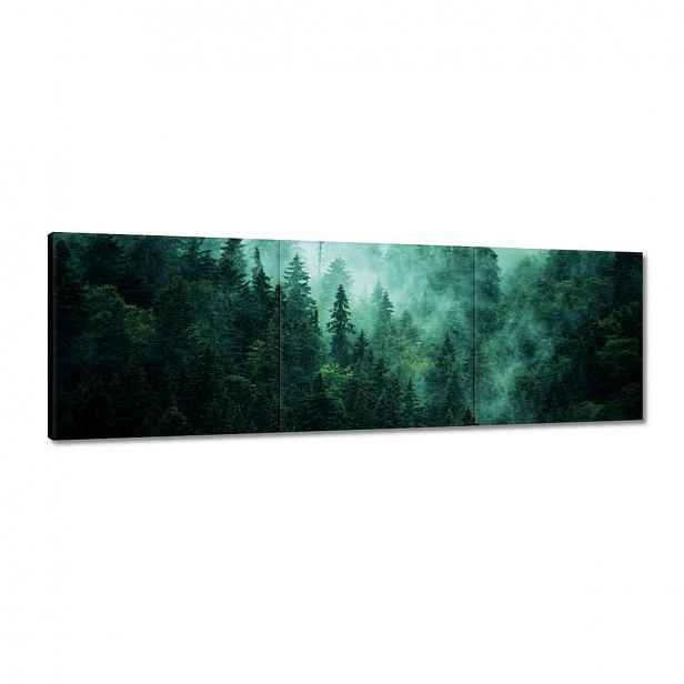 Obrazy 120x40 Les Mlha Krajina Cestování
