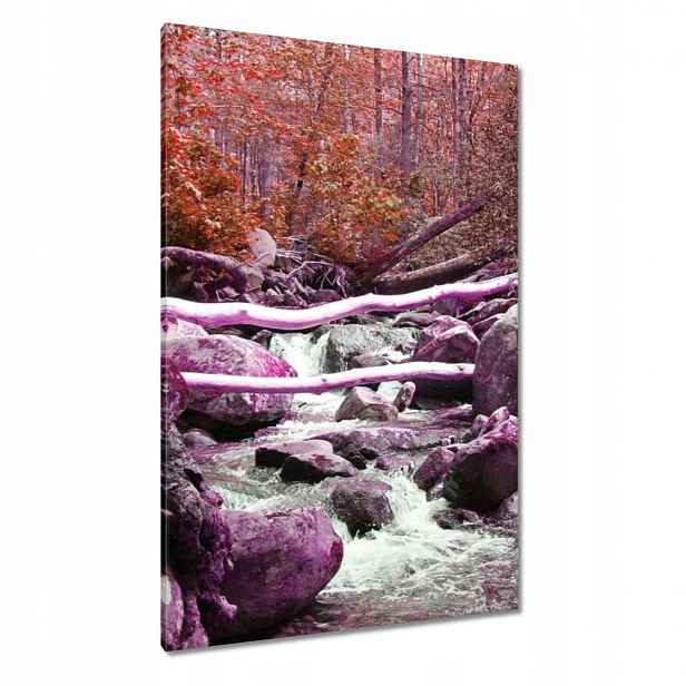 Obrazy 80x120 Fialová kaskáda