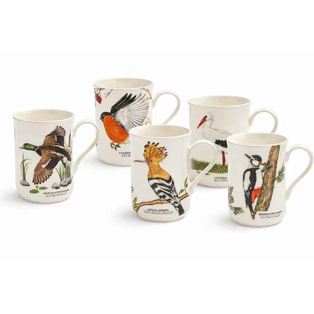 5 x porcelánový hrnek s motivem „Ptáci Polský“ 300 ml hrnky kpl sada