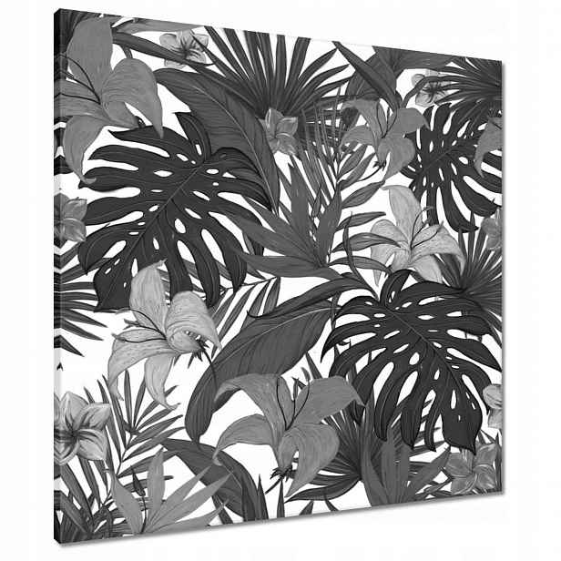 Obrazy 70x70 Černobílá monstera