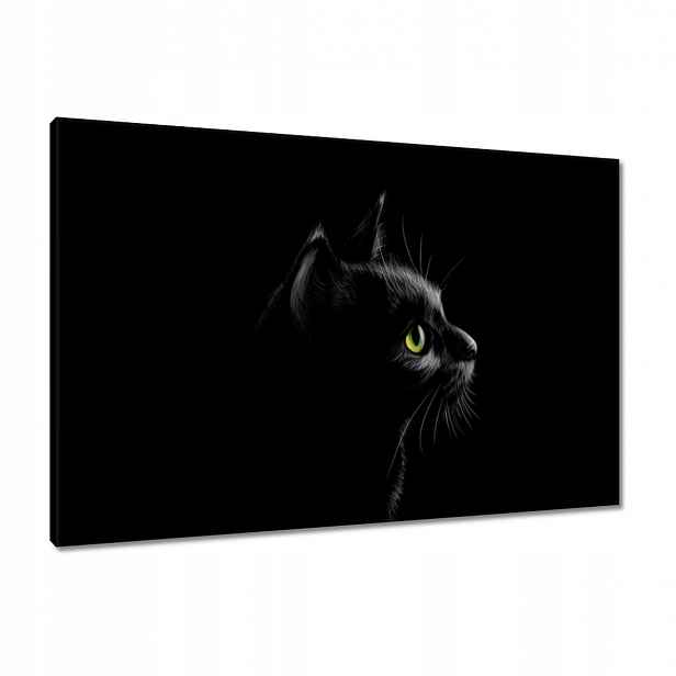 Obrazy 90x60 Černá kočka kočička kočka