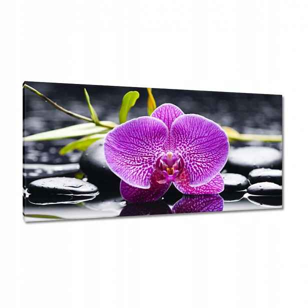 Obrazy 115x55 Fialová orchidej