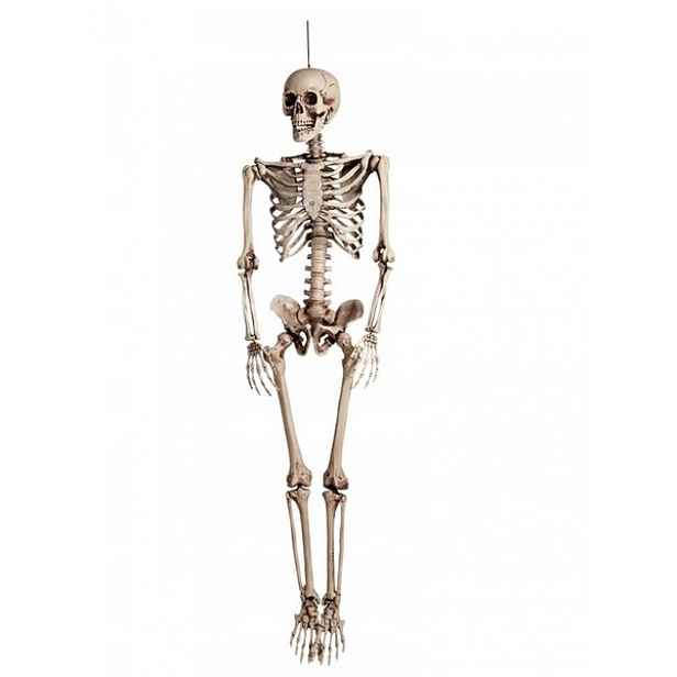 Závěsná Dekorace Kostlivec Velká Kostra Kostek Ozdoba Halloween 165 CM